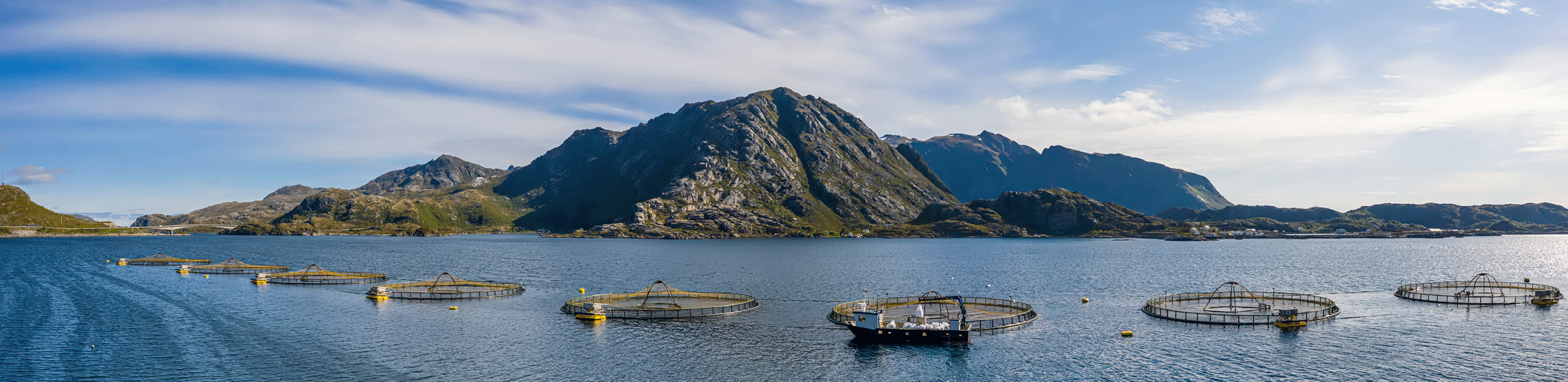 header_saria_aquaculture