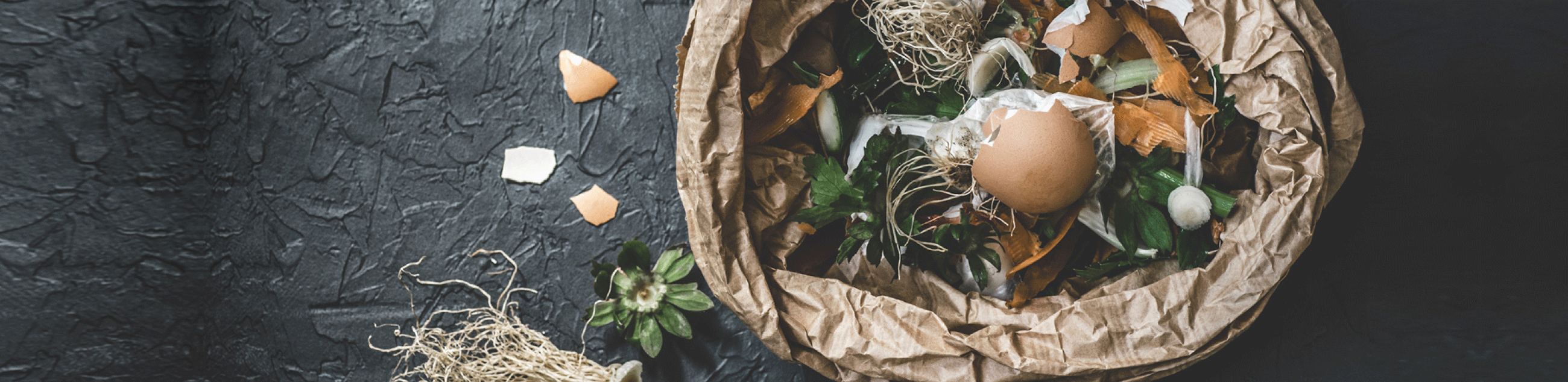 header_saria_gastronomie